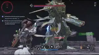 Hailey in Void Intercept Battle - Executioner Colossi (Hard mode solo play)