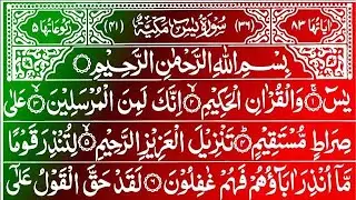 LIVE Surah Yaseen | Qur'an Recitation | Surah Rahman Surah Mulk | Surah Yasin full Quran Tilawat