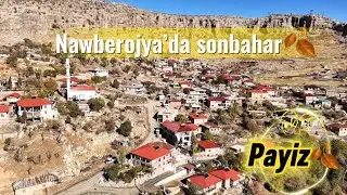 Yeşilova&rsquo;da sonbahar 🍂     #derecik #hakkari #nawberojya #yeşilova #payiz 