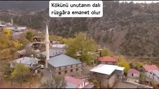 Bedan k&ouml;y&uuml;m&uuml;z 