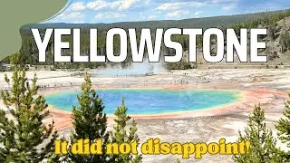 Yellowstone: geysers, hot springs, mud pots, steam vents, and bison! An amazing National Park!