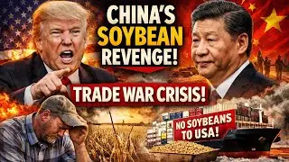 US-China Trade War 2026: Why China Stopped Buying US Soybeans