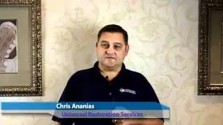 Mold Restoration and Water Removal Services in Brandon by Chris Ananias