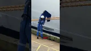 Как корабли защищаются от крыс за секунды