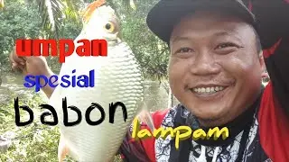 Umpan spesial buat babon lampam,teknik dasaran....mantul!!