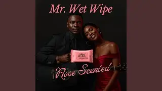 Mr. Wet Wipe