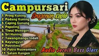 CAMPURSARI KOPLO SRAGENAN TERBARU ||  SRAGENAN CAMPURSARI BASS GLERR 