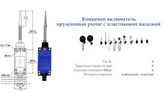 MTB4-LZ8166 Концевой включатель, пружинный рычаг, пластиковая насадка, NO+NC