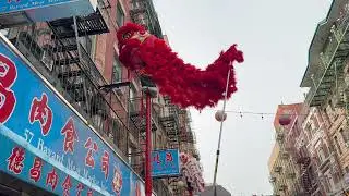 New York Choy Lay Fut Lion Dance Double High Pole and Drumming Super Saturday CNY2025 🦁🥬🧨💥💨