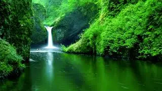 Relax Asian Orchestra Music For Stress Relief | (Roneat ek) Instrument with Waterfall , Brid Sound