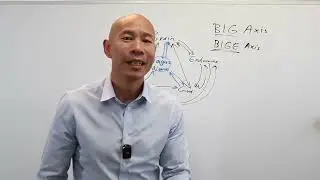 The brain, immune, gut connection to vagus nerve