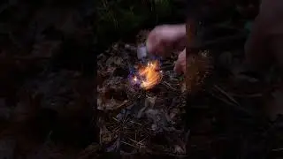 Осенний лес #survival #outdoors #camping #лесной #готовканаприроде #bushcraft #поход