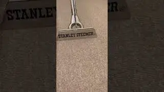 Revitalize Your Carpets