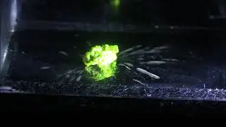 Cloud chamber