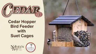 3 QT Hopper Feeder with Two Suet Cages | Hopper Bird Feeders | Nature's Way Bird Products