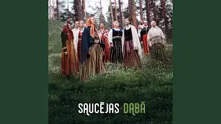 Zīdi, Zīdi, Lynu Druva