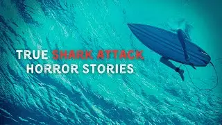 3 True Shark Attack Horror Stories