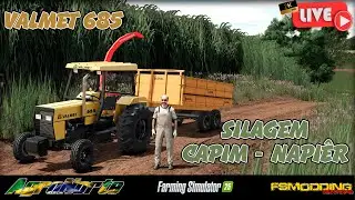 AGRONORTE - FS25 - SILAGEM DE CAPIM - NAPIÊR + VALMET 685
