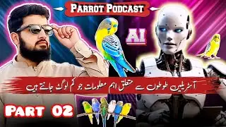 AI vs Human: The Ultimate Knowledge Showdown! ( Part 02 ) Ali Bird Shop