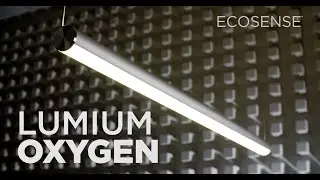 Ecosense | Introducing Lumium Oxygen