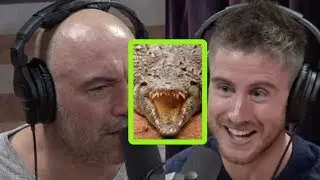 Ash Dykes: Villagers Told Me They Had a Deal with the Crocodiles