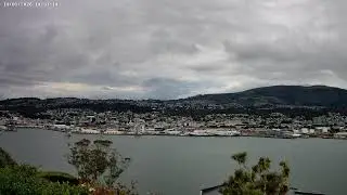 Dunedin, NZ - Live Webcam (4K): 14-01-2026 03:00 to 14:59