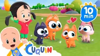 Colitas helps Mama Cat | Educational videos