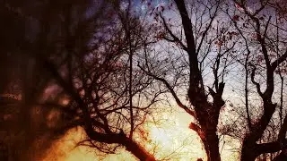 Drawing Eights - Aurora [Full EP]