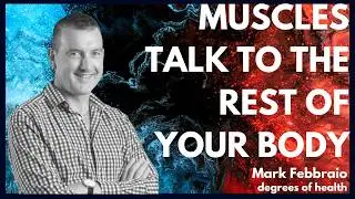 Muscles, Cancer & the Future of Exercise Medicine | Professor Mark Febbraio