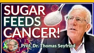 Prof. Thomas Seyfried Full Interview - How KETO DIET Works in CANCER!