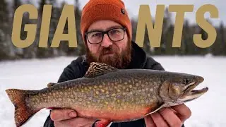 This Secret Lake was LOADED with Brook Trout 