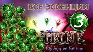 Trine enchanted edition 3. Wolvercote Catacombs