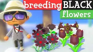 QUICK ways to get BLACK flowers in Animal Crossing