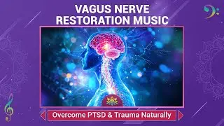 Vagus Nerve Restoration Music - Overcome Stress, PTSD & Trauma Naturally - Healing Sounds