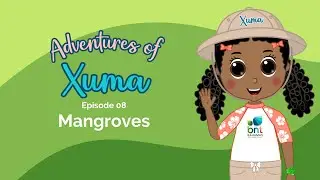 Mangroves | The Adventures of Xuma