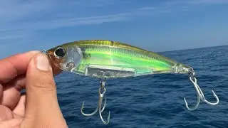 PESCA con TWICHBAIT en MAR ABIERTO // IMPOSIBLE no PESCER AQU&Iacute;!! // pesca de dorados