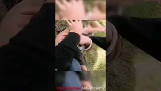 Angry farmer attacked boy with moped #fight #bike