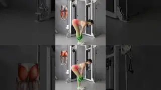 📌 RDL vs. SDL | What&rsquo;s the difference?