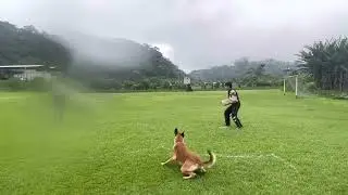 PROTEÇÃO IGP 2 BIG BOSS DAXENGEL
