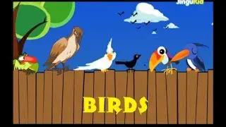 Learn About BIRDS | 3D Nursery Rhymes for Kids | Kindergarten | Preschool Songs For Children