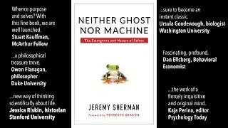 Neither Ghost Nor Machine: The emergence and nature of selves.