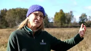 Corey Marsh Ecological Research Center