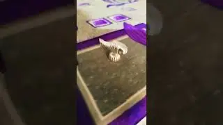 chandiki machhali#shortvideo #song #jewelry #silver #pearl #diamond #ring #song #hindufestival #y