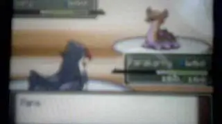Pokemon Platinum Wi-Fi Match:xShadowx37 Vs. Knightknight1