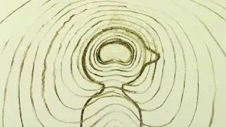 Sight Of Seeds - short film