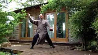 Wudang Cotton Palm Training