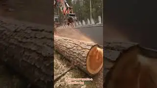 Giant Saw Blade Cuts Massive Log in Half!