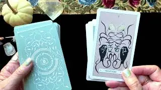 Avisomnia Tarot - Deck Walkthrough