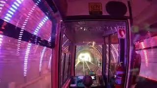 Wellington's Cable Car Secrets: Epic Ride & Hidden Museum Tour