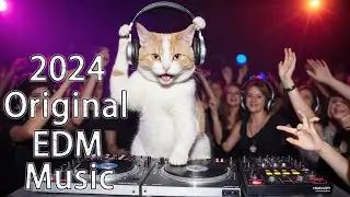 Neon Rhythm: EDM Beats to Light Up Your Night ID:20241227
